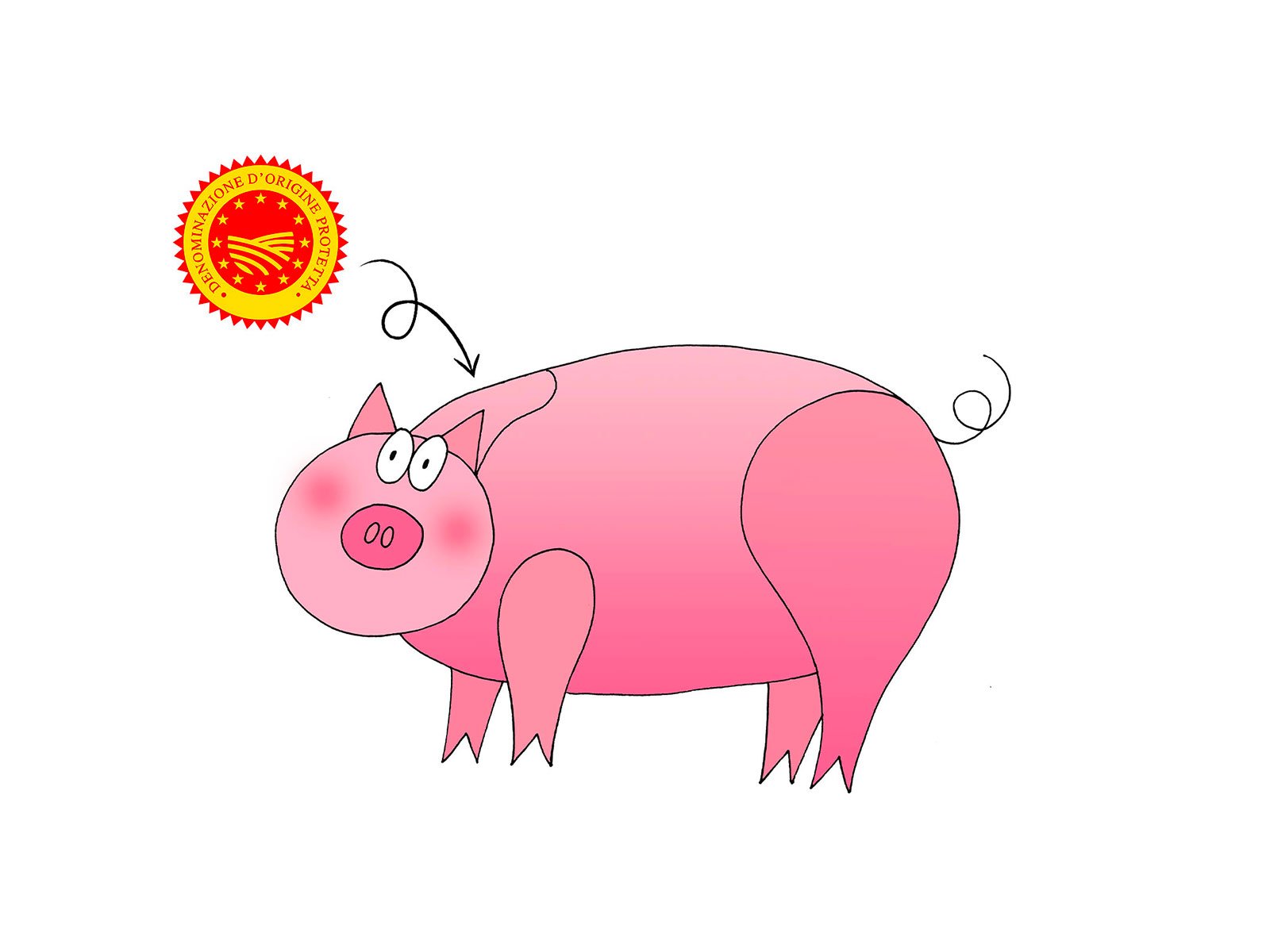 Pork cut diagram for Coppa Piacentina PDO