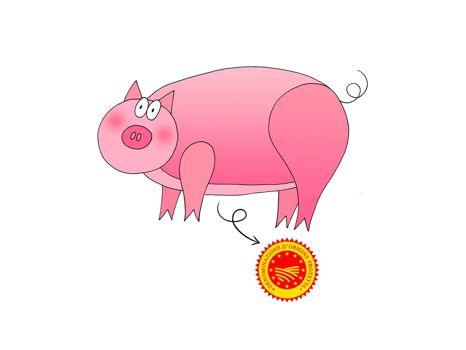 Pork cut diagram for Pancetta Piacentina PDO