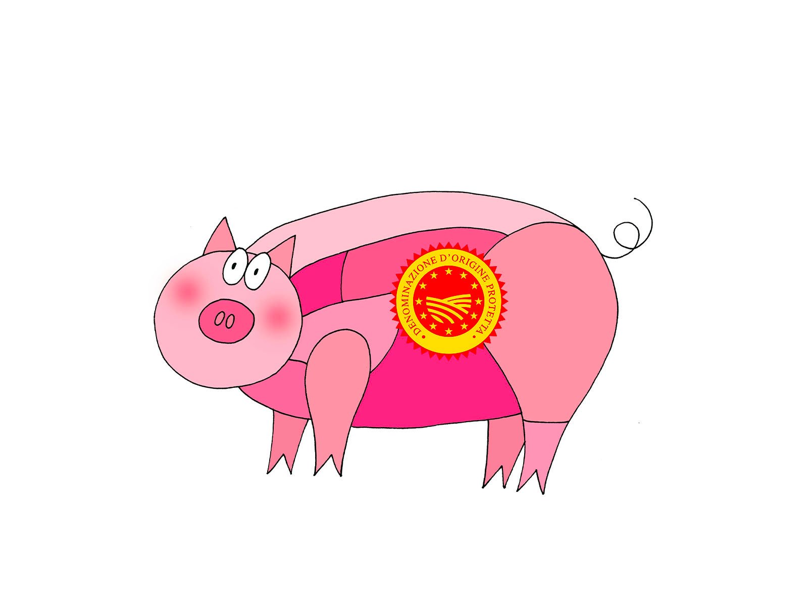 Pork cuts diagram for Salame Piacentino PDO